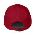 Persistence Cap – Motivational Mindset Baseball Cap, Adjustable