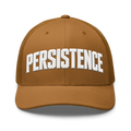 Persistence Cap