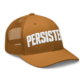 Persistence Cap
