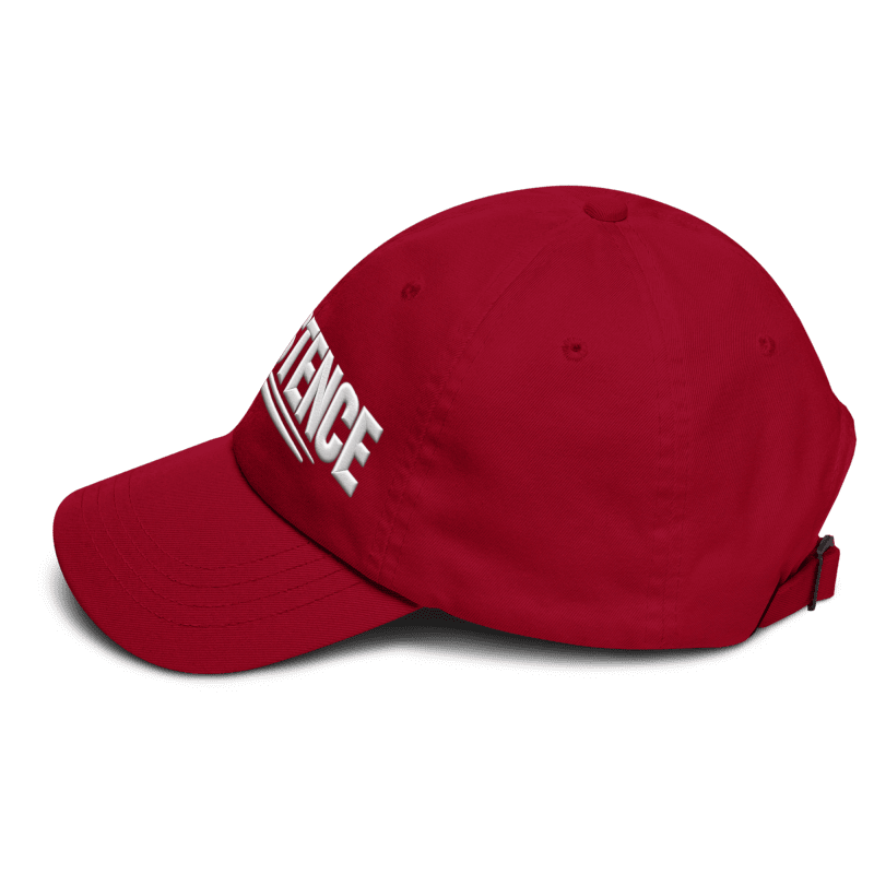 Persistence Cap – Motivational Mindset Baseball Cap, Adjustable